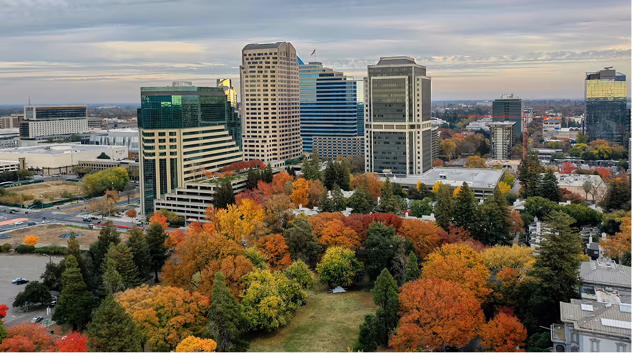 City skyline with modern buildings behind a park filled with trees showing autumn colors of orange, red, and yellow under a cloudy sky.